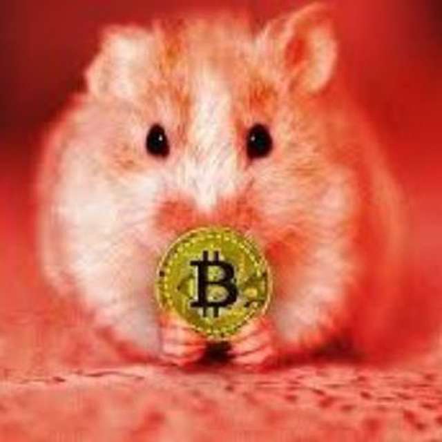 Crypto Homyak