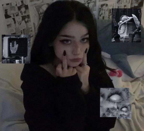 Сливы Студетнок домашка