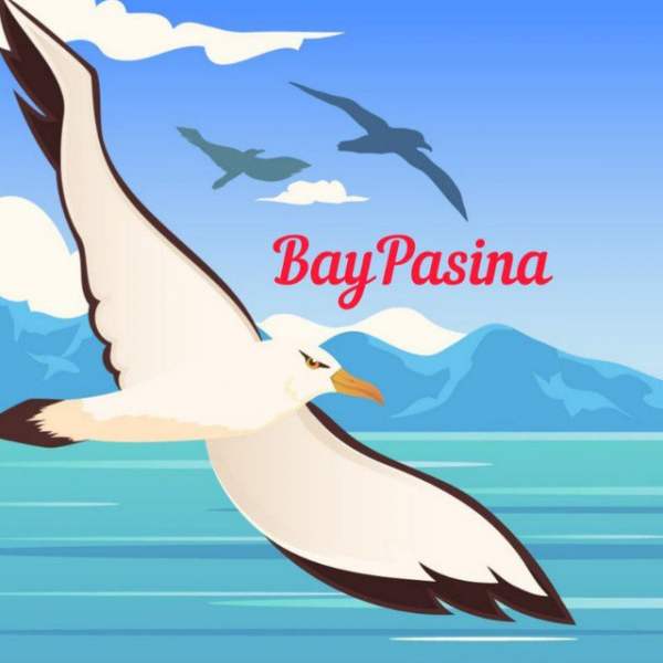 Bay Pasina