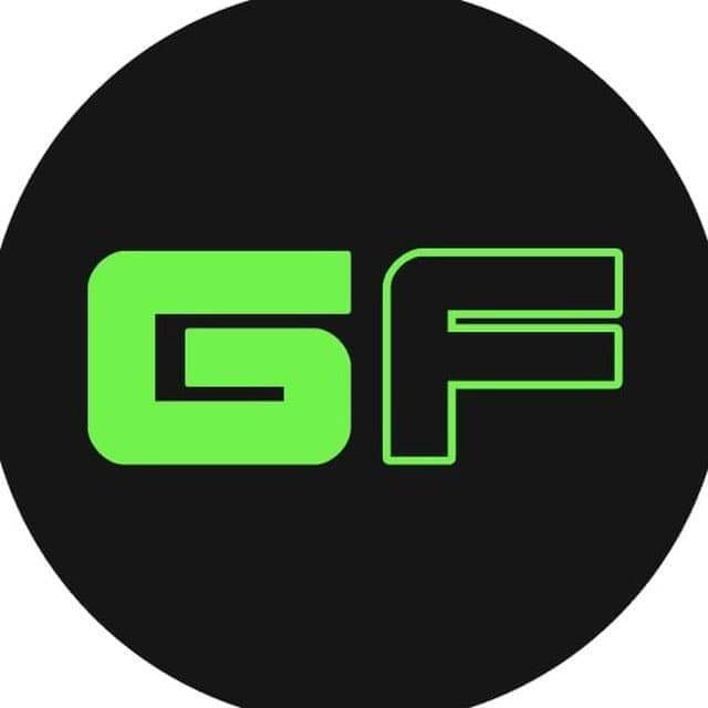 G a m e F i